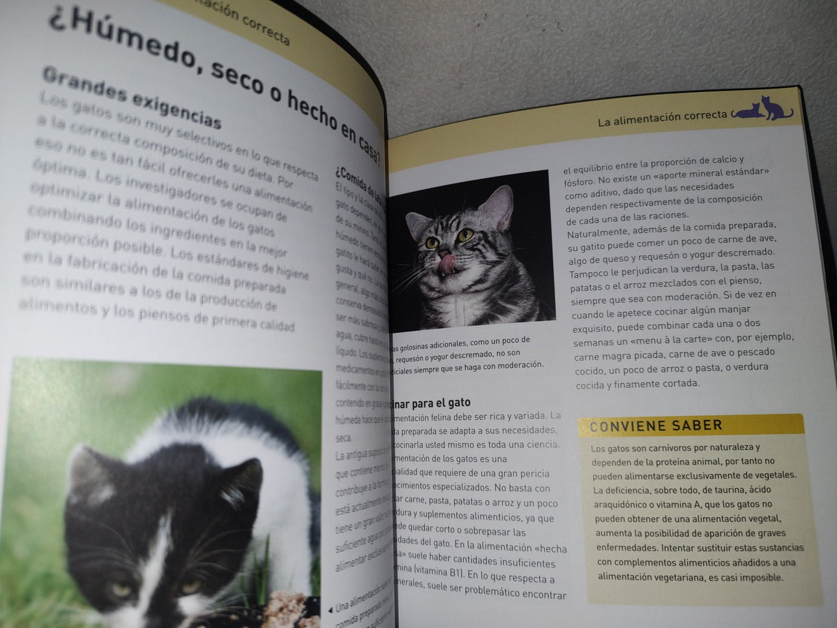 93- Gatos Sanos Y En Forma. Cuidarlos, Alimentarlos Y Comprenderlos - Ediciones Saldaña, S. A. 2011