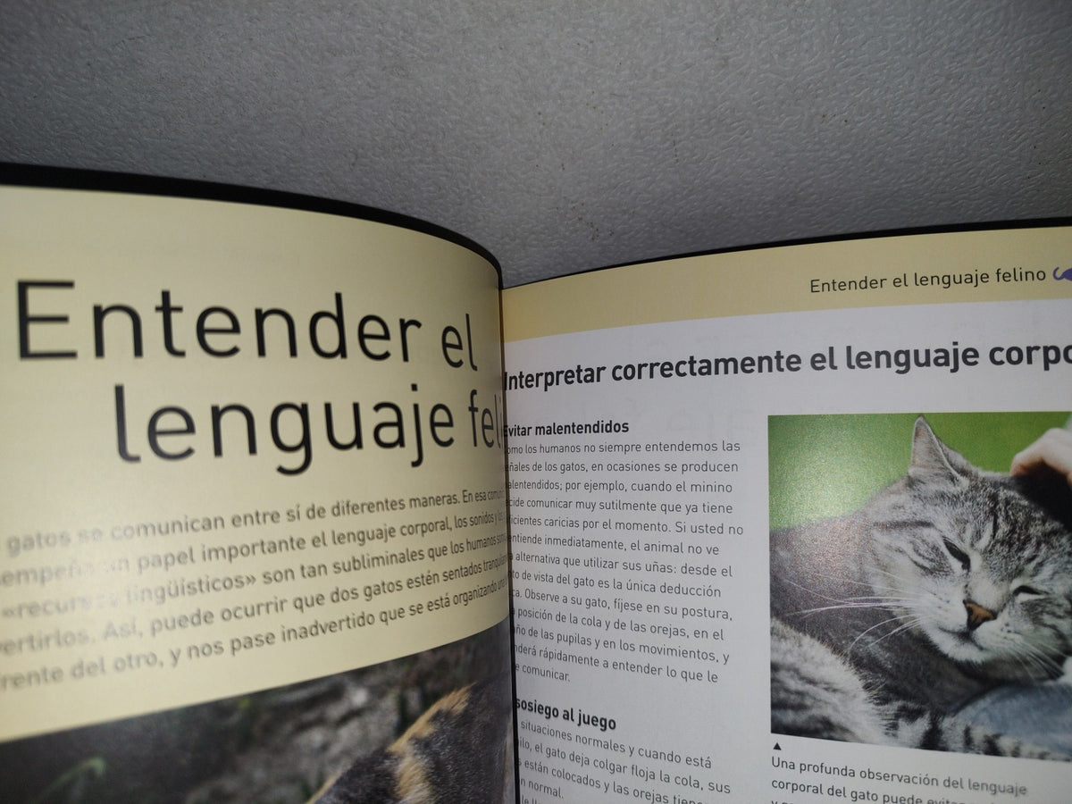93- Gatos Sanos Y En Forma. Cuidarlos, Alimentarlos Y Comprenderlos - Ediciones Saldaña, S. A. 2011