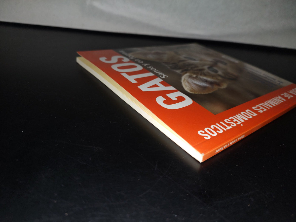93- Gatos Sanos Y En Forma. Cuidarlos, Alimentarlos Y Comprenderlos - Ediciones Saldaña, S. A. 2011