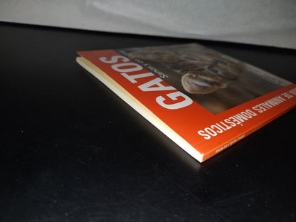 93- Gatos Sanos Y En Forma. Cuidarlos, Alimentarlos Y Comprenderlos - Ediciones Saldaña, S. A. 2011