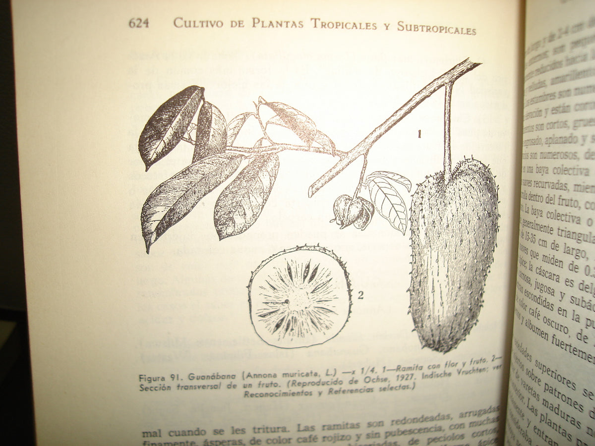 161- Cultivo Y Mejoramiento De Plantas Tropicales Y Subtropicales - J. J. Ochse, M. J. Soule, Jr. - Limusa