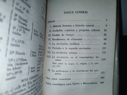 93- Los Orígenes De La Civilización - V. Gordon Childe - 1971