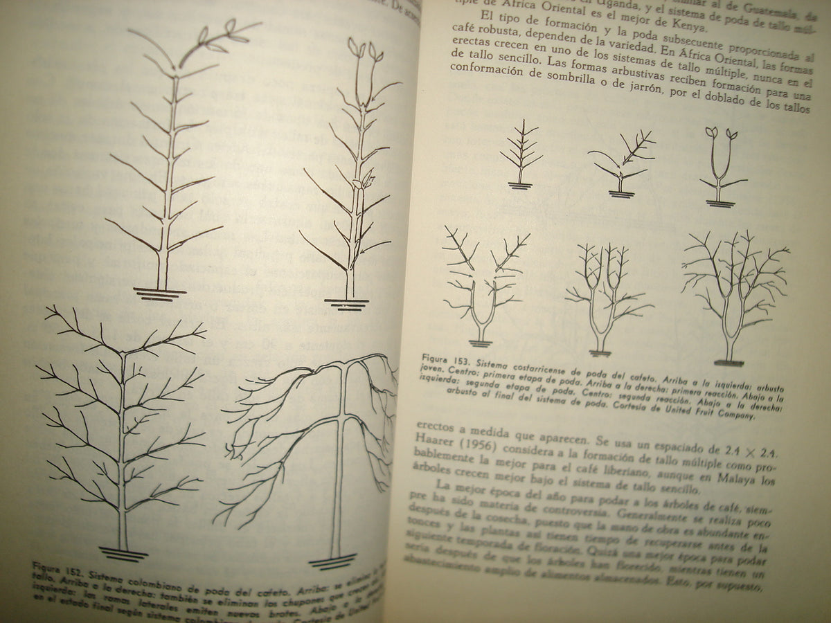 161- Cultivo Y Mejoramiento De Plantas Tropicales Y Subtropicales - J. J. Ochse, M. J. Soule, Jr. - Limusa