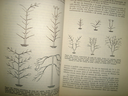 161- Cultivo Y Mejoramiento De Plantas Tropicales Y Subtropicales - J. J. Ochse, M. J. Soule, Jr. - Limusa