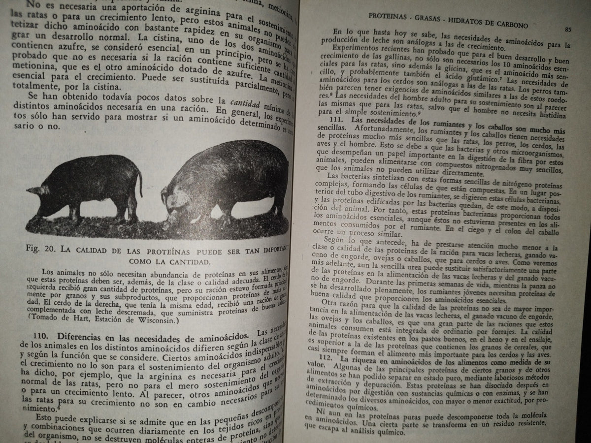 114- Alimentos Y Alimentación Del Ganado - Frank B. Morrison - Uteha - 1980