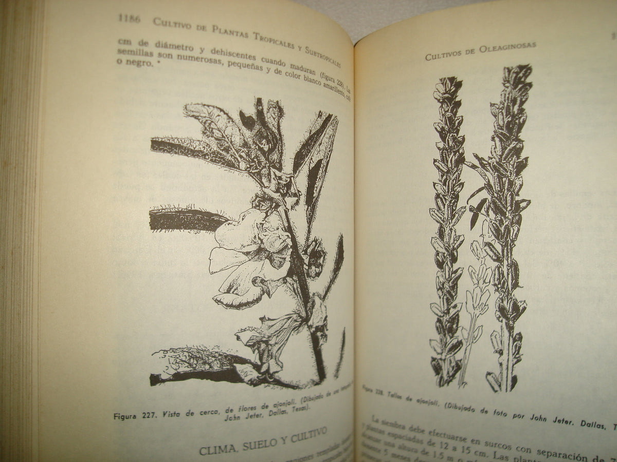 161- Cultivo Y Mejoramiento De Plantas Tropicales Y Subtropicales - J. J. Ochse, M. J. Soule, Jr. - Limusa