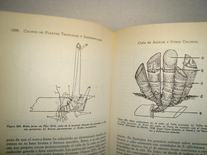 161- Cultivo Y Mejoramiento De Plantas Tropicales Y Subtropicales - J. J. Ochse, M. J. Soule, Jr. - Limusa