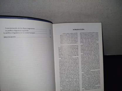 84- Las Migraciones Internacionales - Eldna González Martínez - Dastin, S. L. 2006