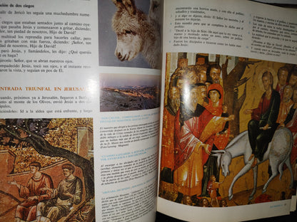 192- La Respuesta Está En La Biblia. Tomo V - Bac Miñón - 1970