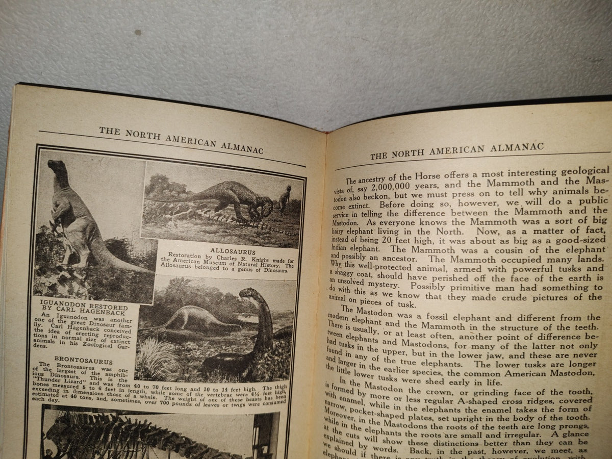 98- The North American Almanac 1925. Chicago Ill., U.S.A.