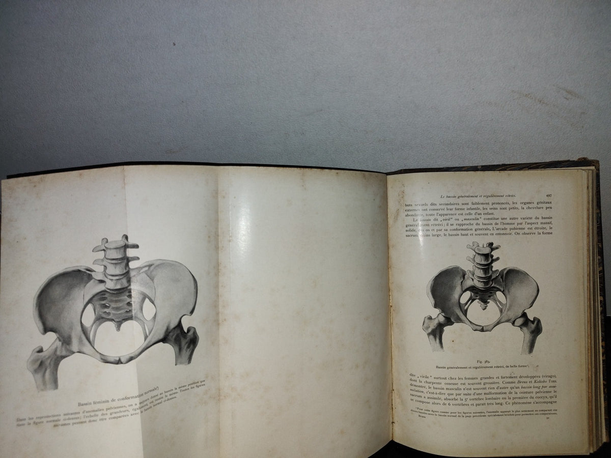 64- Francés. Compendio De Obstetricia / Précis D'Obstétrique En 28 Leçons - Ernest Bumm - 1911