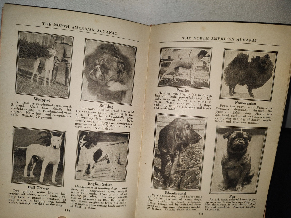 98- The North American Almanac 1925. Chicago Ill., U.S.A.