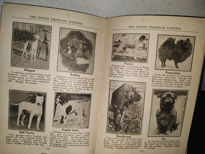 98- The North American Almanac 1925. Chicago Ill., U.S.A.