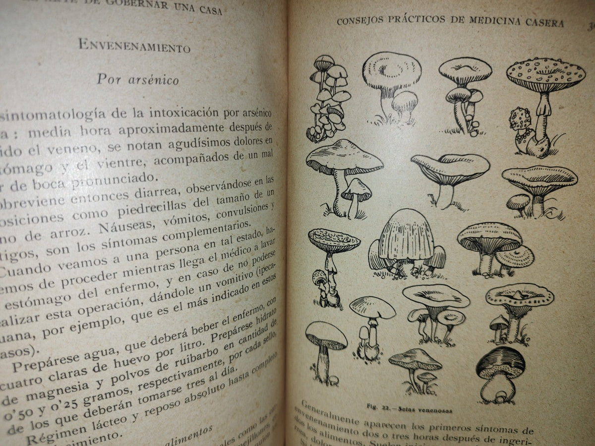 211- El Arte De Gobernar Una Casa - A. Piracés - Barcelona, José Montesó Editor, 1930