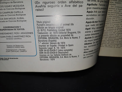 64- Gran Zoo. Enciclopedia De La Vida Animal - Bruguera - No. 2 - 1A. Edición: Febrero De 1974