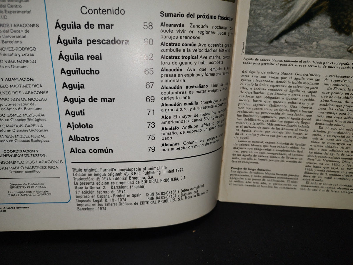 64- Gran Zoo. Enciclopedia De La Vida Animal - Bruguera - No. 3 - 1A. Edición: Febrero De 1974