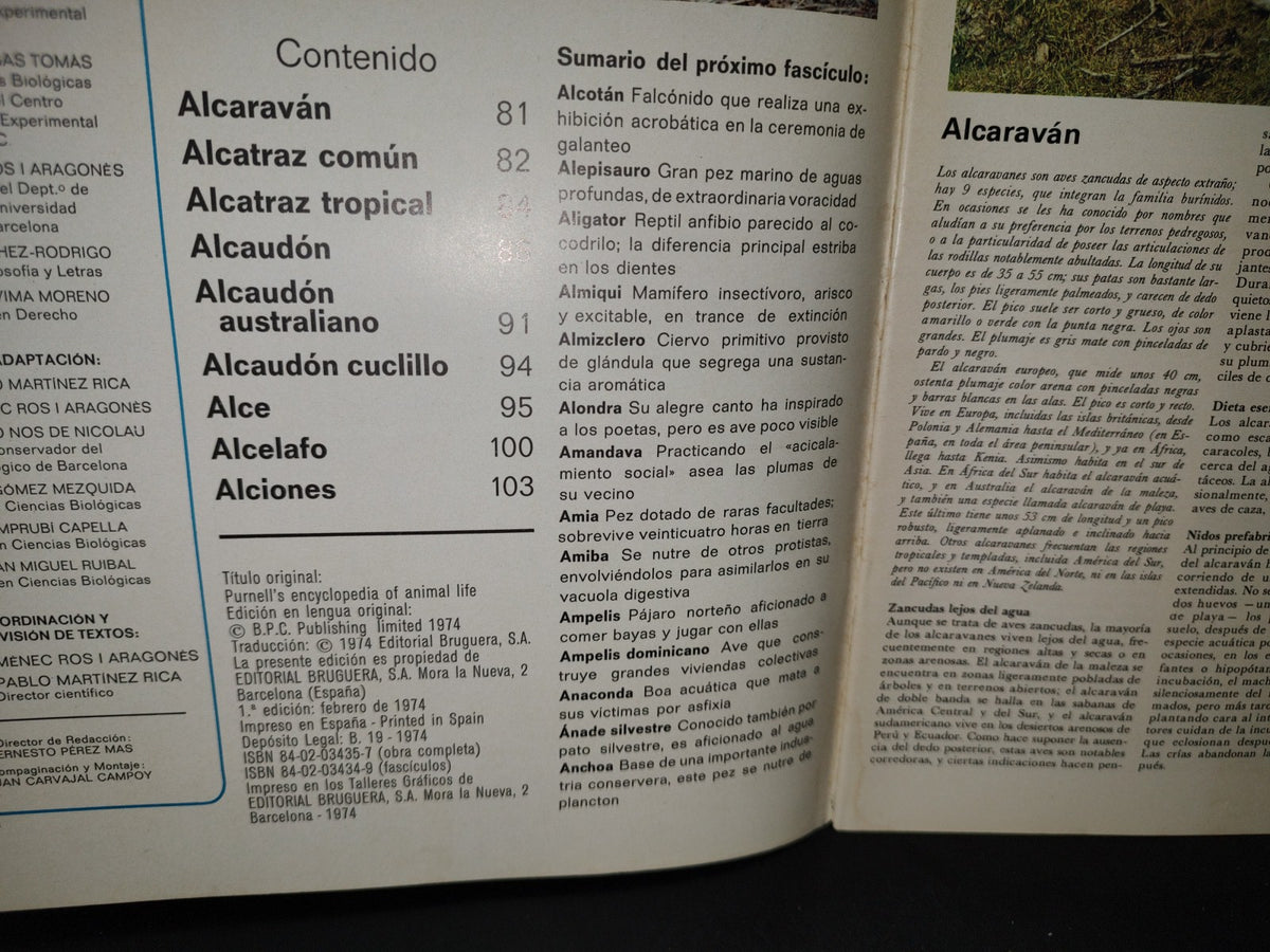 64- Gran Zoo. Enciclopedia De La Vida Animal - Bruguera - No. 4 - 1A. Edición: Febrero De 1974