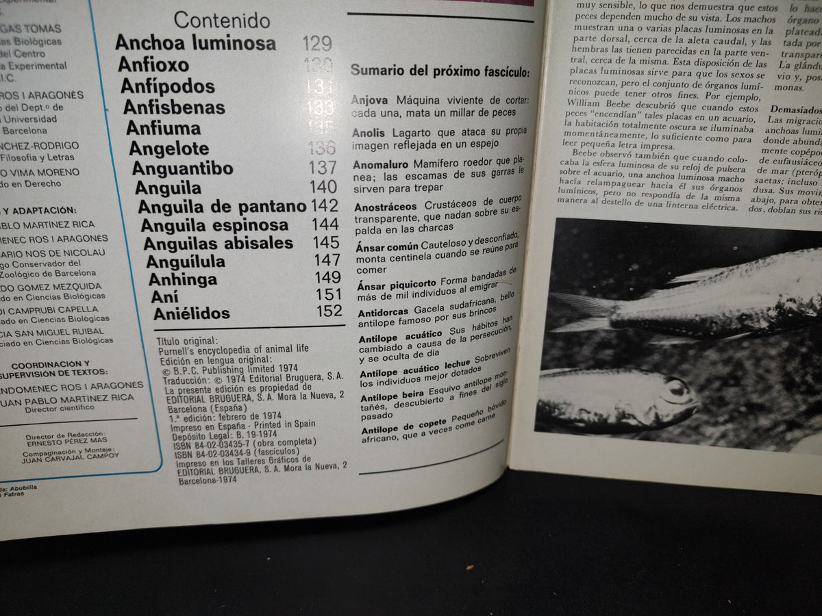 64- Gran Zoo. Enciclopedia De La Vida Animal - Bruguera - No. 6 - 1A. Edición: Febrero De 1974