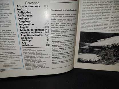 64- Gran Zoo. Enciclopedia De La Vida Animal - Bruguera - No. 6 - 1A. Edición: Febrero De 1974