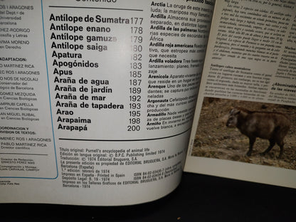 64- Gran Zoo. Enciclopedia De La Vida Animal - Bruguera - No. 8 - 1A. Edición: Febrero De 1974
