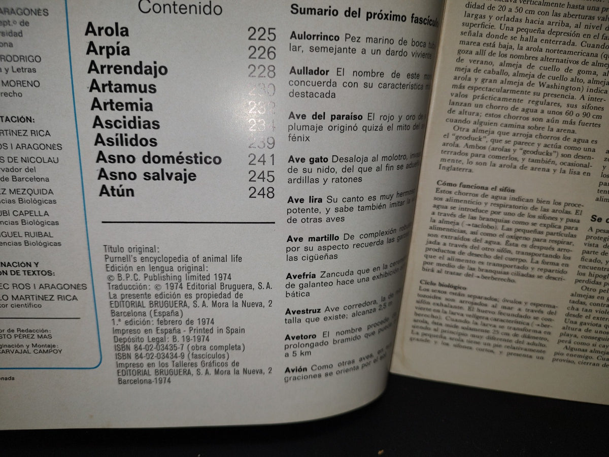 64- Gran Zoo. Enciclopedia De La Vida Animal - Bruguera - No. 10 - 1A. Edición: Febrero De 1974