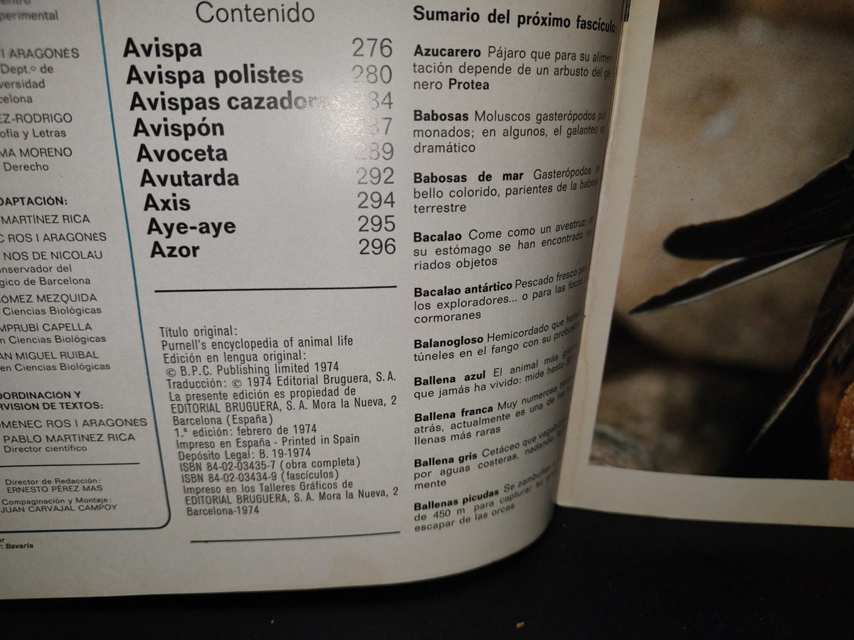 64- Gran Zoo. Enciclopedia De La Vida Animal - Bruguera - No. 12 - 1A. Edición: Febrero De 1974