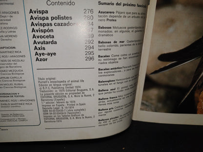 64- Gran Zoo. Enciclopedia De La Vida Animal - Bruguera - No. 12 - 1A. Edición: Febrero De 1974
