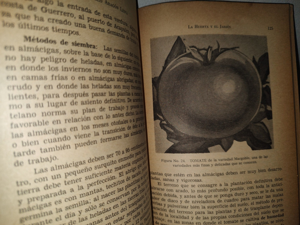 84- La Huerta Y El Jardín - Pablo Aragón Leiva. Biblioteca Del Maestro, Sep - 60'S - 70'S