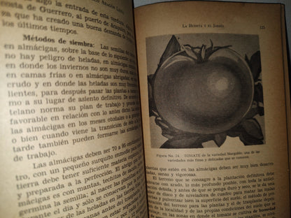 84- La Huerta Y El Jardín - Pablo Aragón Leiva. Biblioteca Del Maestro, Sep - 60'S - 70'S