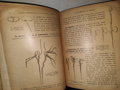 23- Estudio Experimental De La Vida De Las Plantas - Juan Palau Vera - 1927