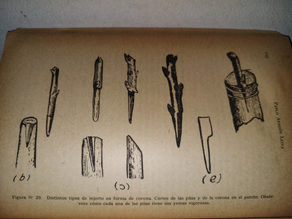 84- La Huerta Y El Jardín - Pablo Aragón Leiva. Biblioteca Del Maestro, Sep - 60'S - 70'S