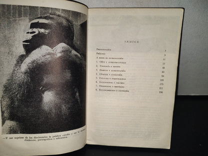 151- Imagen Estructural Del Gorila - Elías Condal - Editorial Nuestro Tiempo - 1A. Ed. 1966