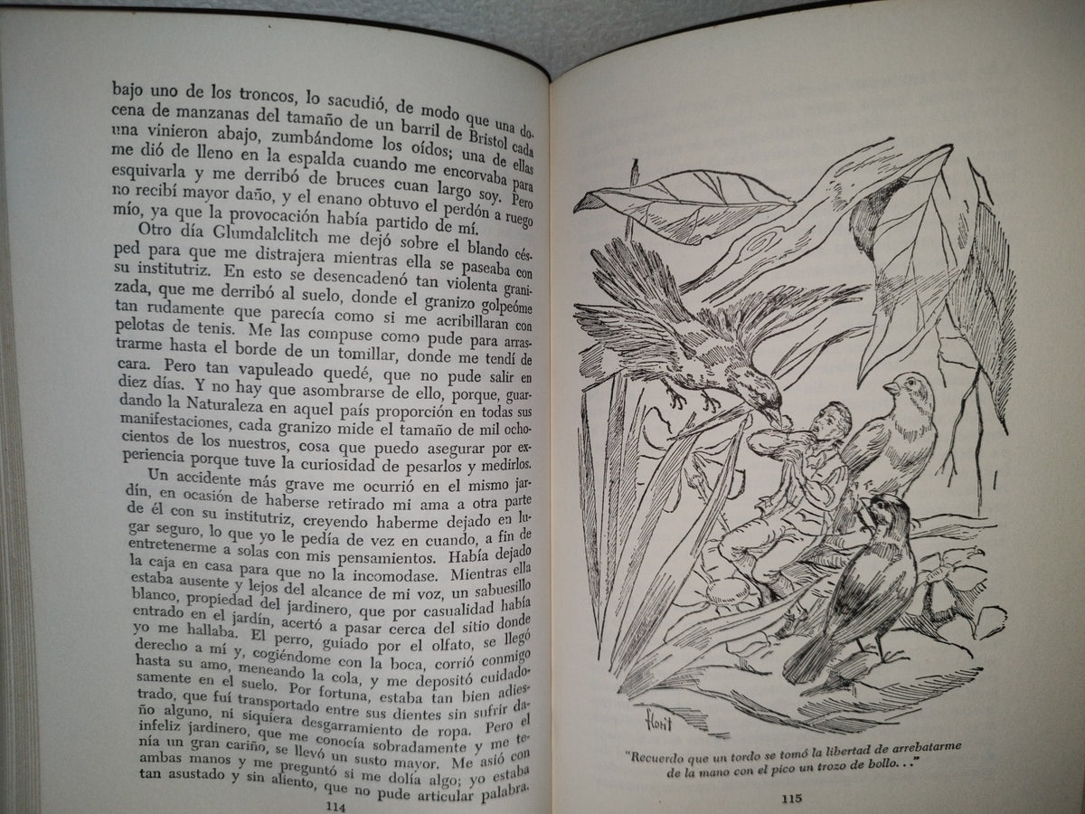63- Clásicos Juveniles. Viajes De Gulliver - Jonathan Swift - Primera Edición 1967