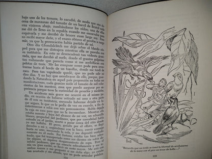 63- Clásicos Juveniles. Viajes De Gulliver - Jonathan Swift - Primera Edición 1967