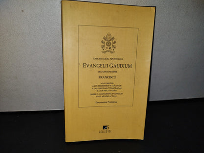 64- Exhortación Apostólica. Evangelii Gaudium Del Santo Padre Francisco. Documentos Pontificios