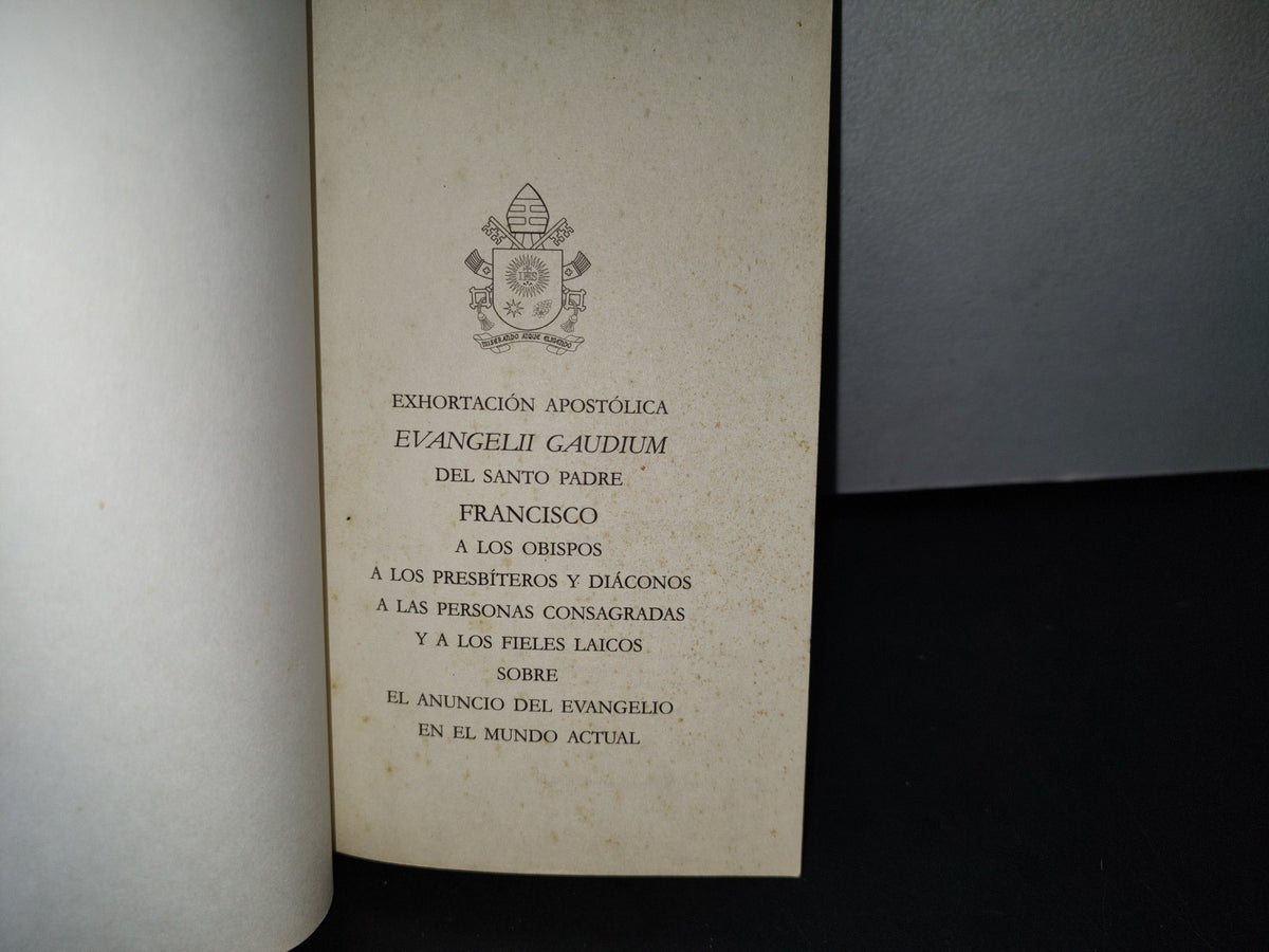64- Exhortación Apostólica. Evangelii Gaudium Del Santo Padre Francisco. Documentos Pontificios