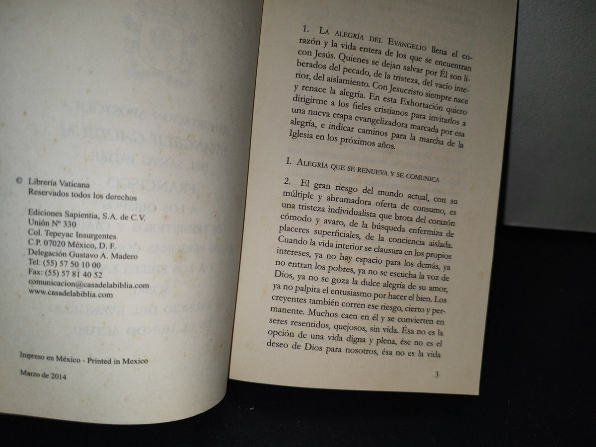 64- Exhortación Apostólica. Evangelii Gaudium Del Santo Padre Francisco. Documentos Pontificios