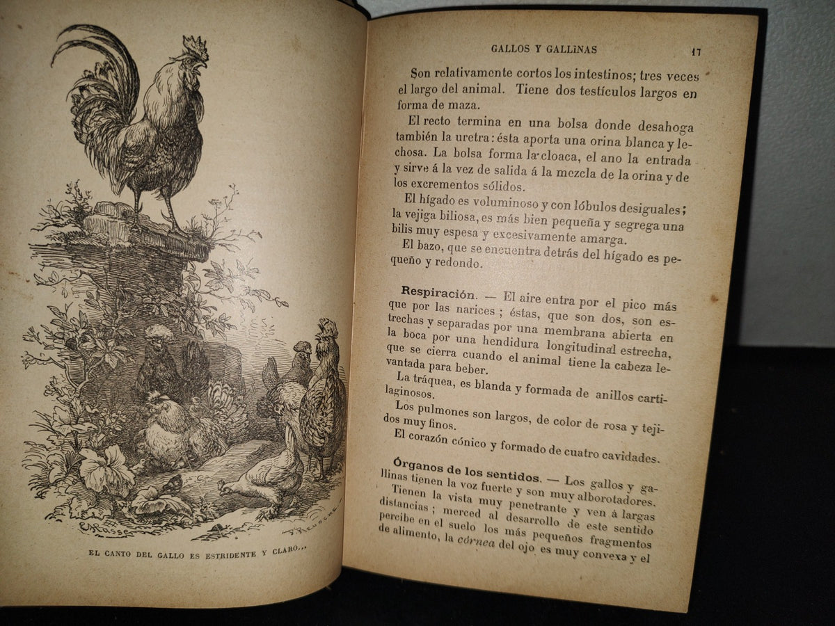 64- Los Animales De Corral - Alberto Larbalétrier - Paris, Garnier Hermanos, Libreros-Editores, 1887