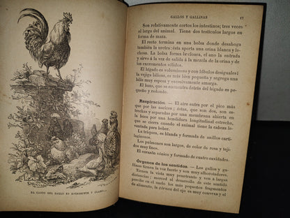 64- Los Animales De Corral - Alberto Larbalétrier - Paris, Garnier Hermanos, Libreros-Editores, 1887
