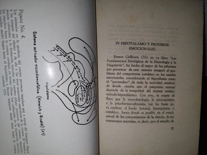 59- Psicofarmacología Y Agentes Psicoterapéuticos. La Quimioterapia De Los Padecimientos Mentales - Dr. Armando Ruiz Sánchez - Firmado