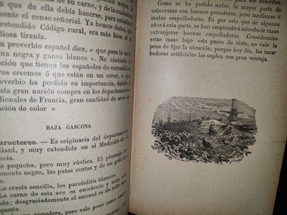 64- Los Animales De Corral - Alberto Larbalétrier - Paris, Garnier Hermanos, Libreros-Editores, 1887