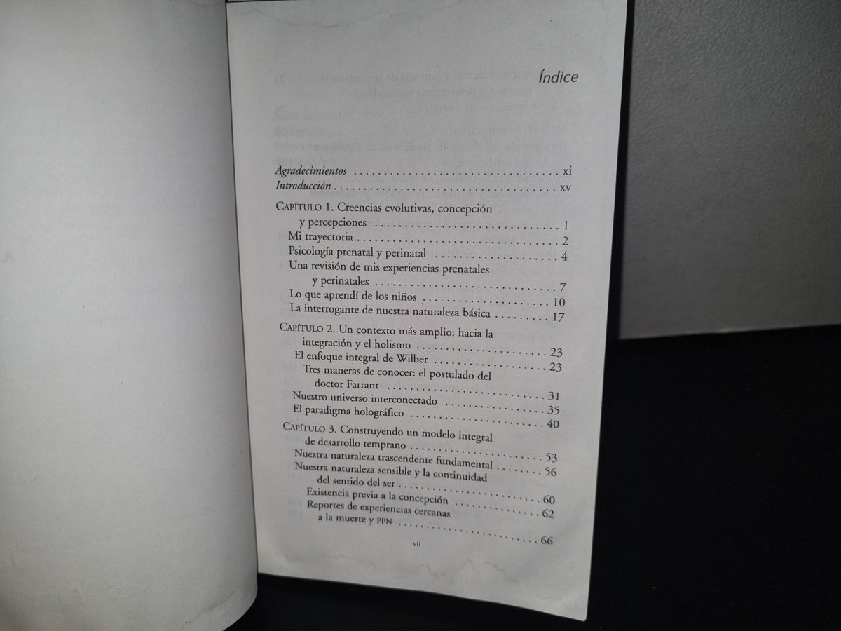 93- La Conciencia Del Bebé Antes De Nacer - Wendy Anne Mccarty