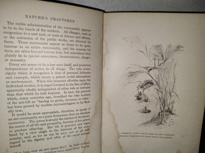 211- Nature'S Craftsmen. Popular Studies Of Ants And Other Insects. Henry Christopher Mccook - 1907