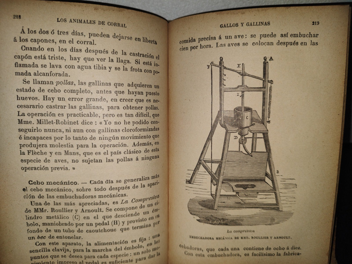 64- Los Animales De Corral - Alberto Larbalétrier - Paris, Garnier Hermanos, Libreros-Editores, 1887