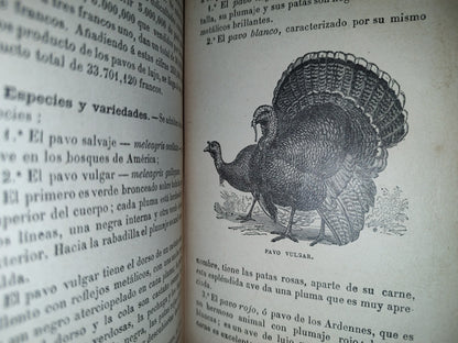 64- Los Animales De Corral - Alberto Larbalétrier - Paris, Garnier Hermanos, Libreros-Editores, 1887