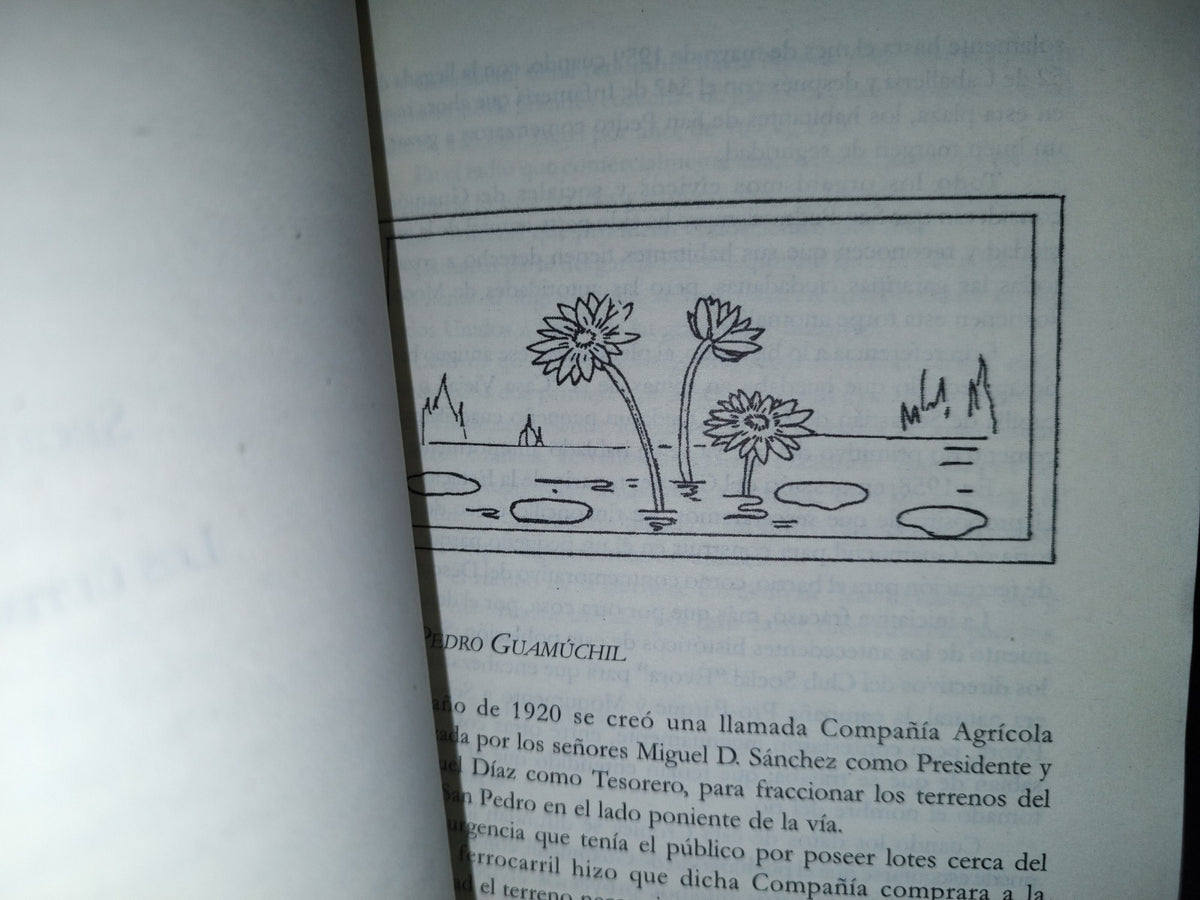 151- Crónicas De Guamúchil. Desde Los Remotos Tiempos Indianos Hasta Nuestros Días. Carlos Esqueda - H. Ayuntamiento De Salvador Alvarado, Guamuchil