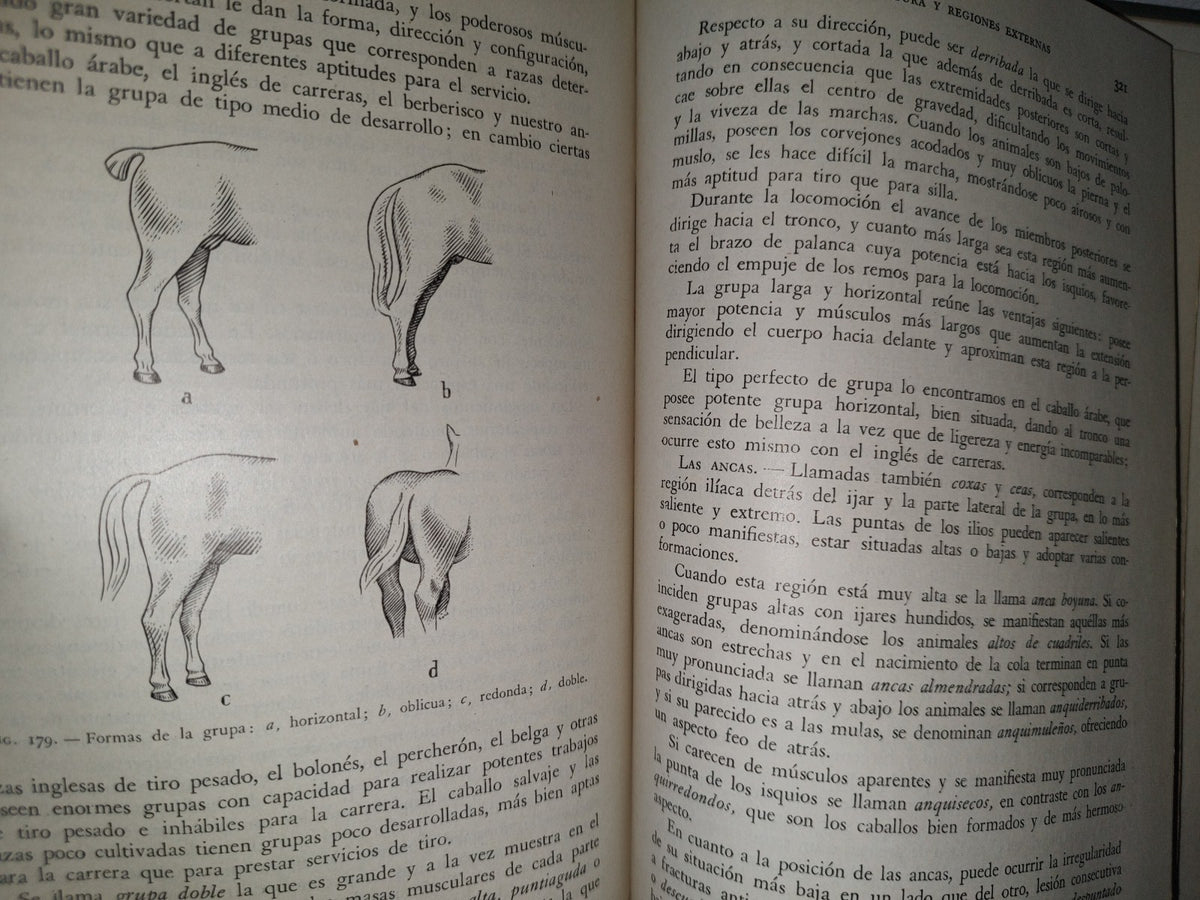 48- Ganado Caballar - José Maria Beltrán - Salvat Editores, S. A., Primera Edición, 1954