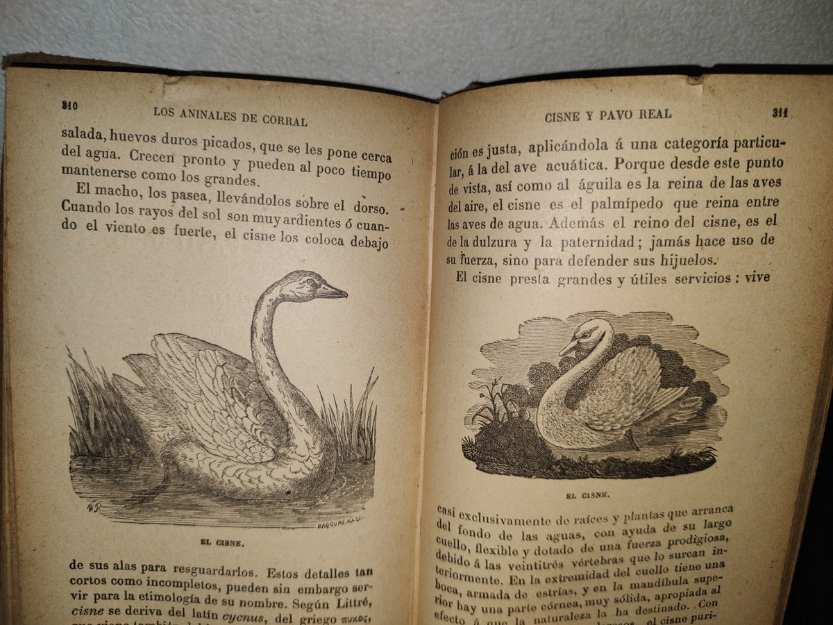 64- Los Animales De Corral - Alberto Larbalétrier - Paris, Garnier Hermanos, Libreros-Editores, 1887
