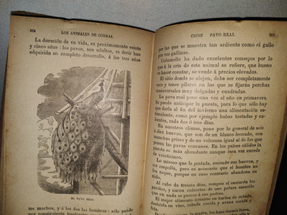 64- Los Animales De Corral - Alberto Larbalétrier - Paris, Garnier Hermanos, Libreros-Editores, 1887