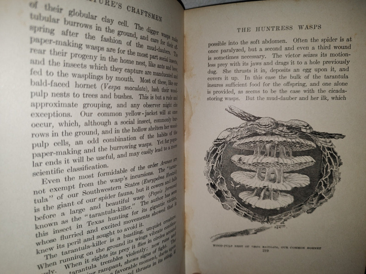 211- Nature'S Craftsmen. Popular Studies Of Ants And Other Insects. Henry Christopher Mccook - 1907
